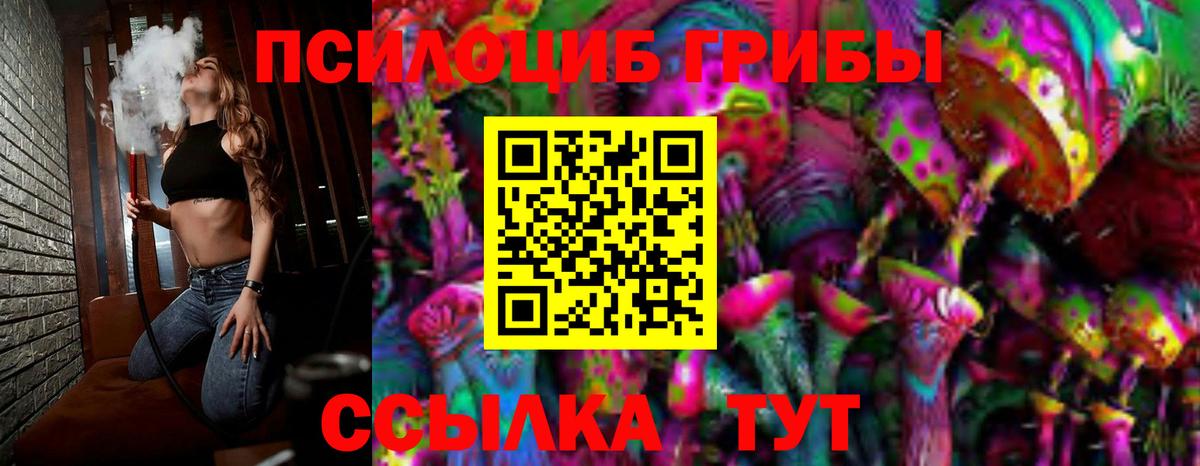 Галлюциногенные грибы Cubensis  Вход с VPN  сколько стоит  Электрогорск 